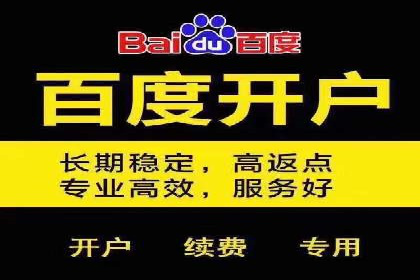 行业领先企业的SEM运营策略案例解析